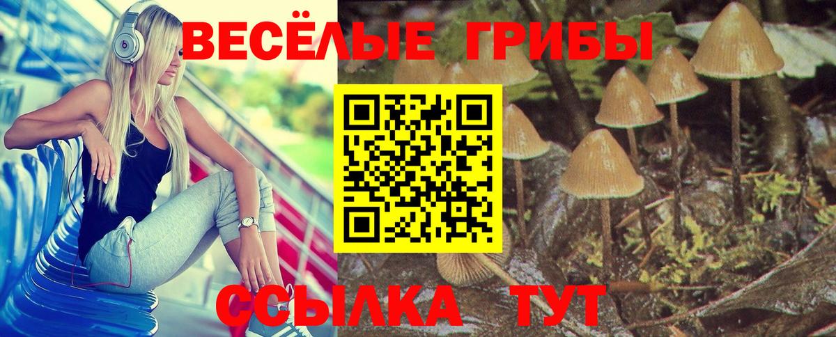 Жигулёвск  Галлюциногенные грибы мицелий  Псилоцибиновые грибы мицелий  купить наркоту  Вход с VPN 