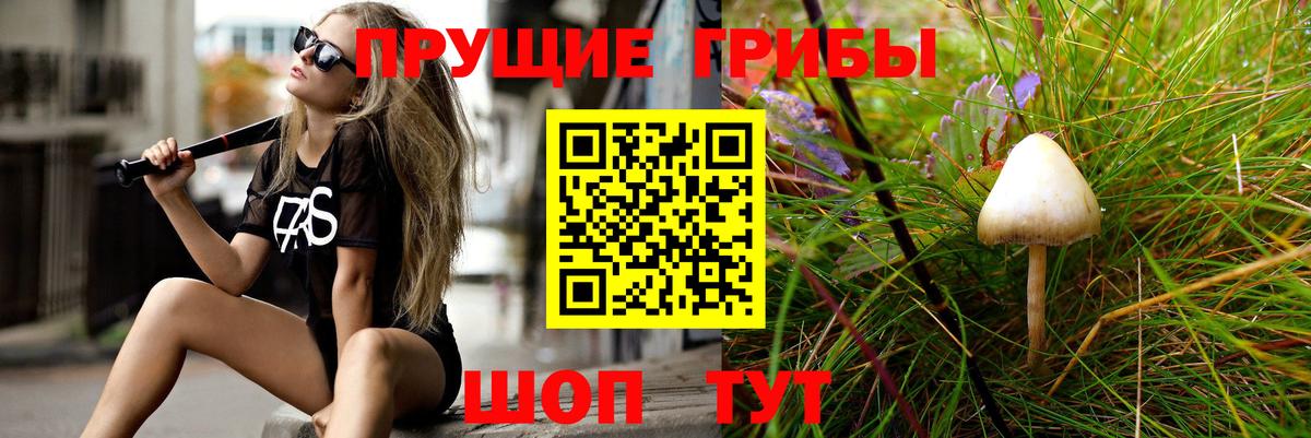 Галлюциногенные грибы мухоморы Жигулёвск